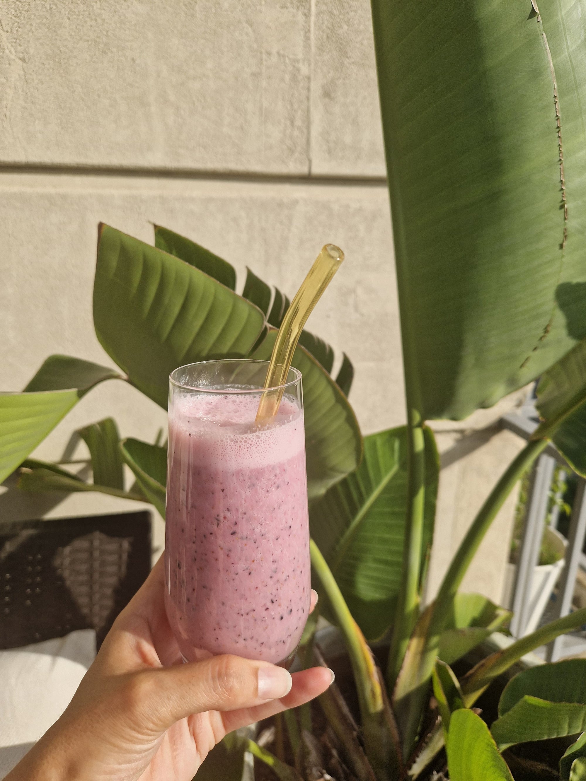 Receta de un smoothie que favorecerá tu belleza exterior